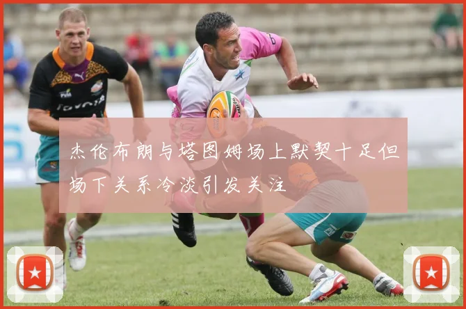 杰伦布朗与塔图姆场上默契十足但场下关系冷淡引发关注