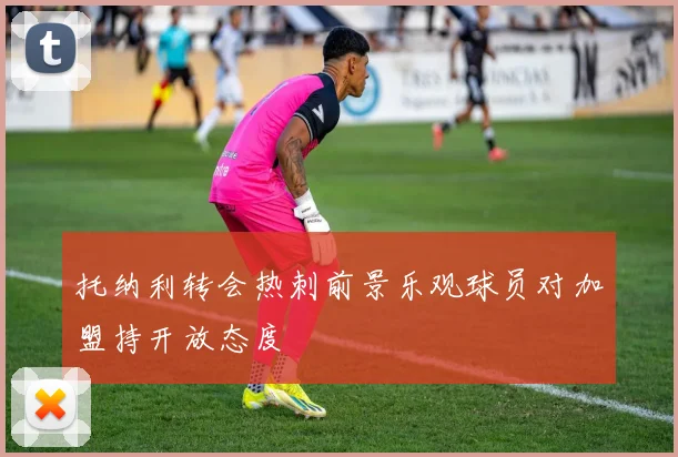 托纳利转会热刺前景乐观球员对加盟持开放态度