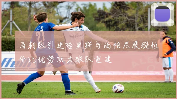 马刺队引进哈里斯与尚帕尼展现性价比优势助力球队重建